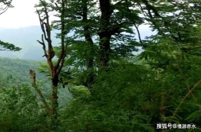 恒大物业向恒大系公司再提七项诉讼,涉及追偿金额合计超114亿元